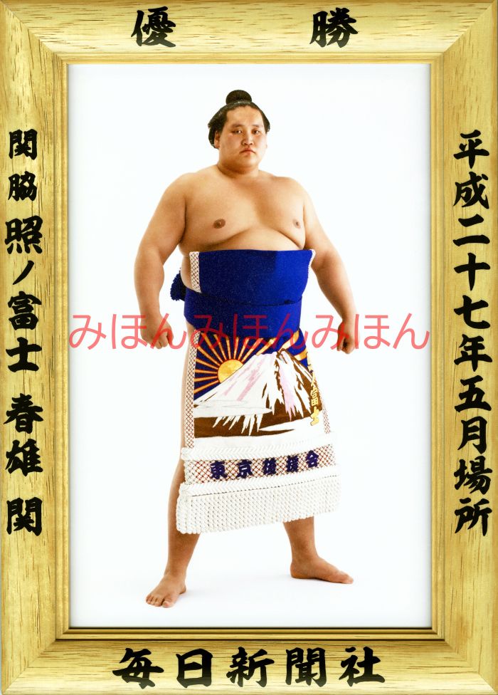 照ノ富士春雄関　優勝ミニ額 大相撲ミニ額 大相撲優勝額　平成２７（２０１５）年５月場所 優勝 関脇 照ノ富士春雄関（初優勝）優勝記念品 相撲グッズ 力士グッズ 相撲取りグッズ 国技館 限定品 記念品 コレクション 写真 H2705