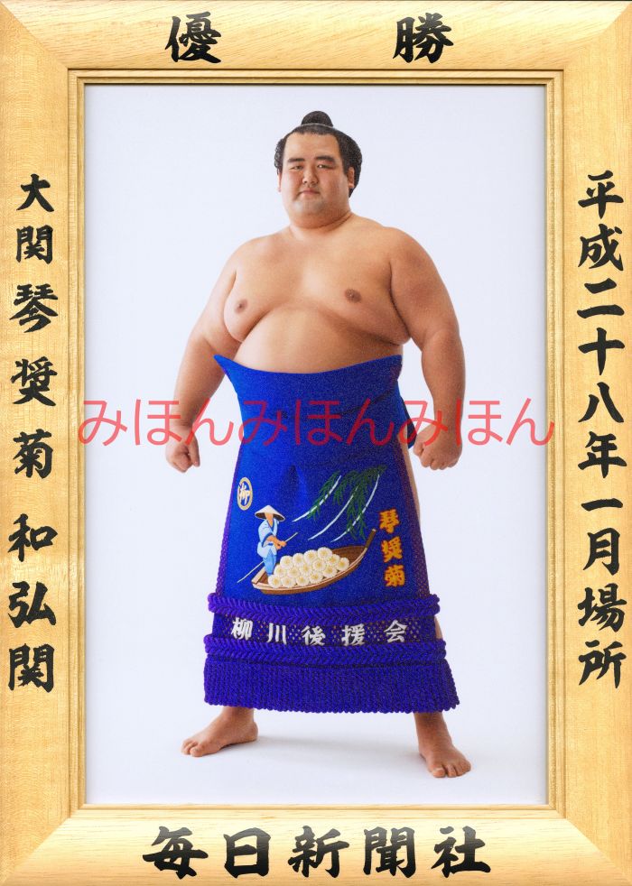 琴奨菊和弘関　優勝ミニ額 大相撲ミニ額 大相撲優勝額　平成２８（２０１６）年１月場所 優勝 大関 琴奨菊和弘関優勝記念品 相撲グッズ 力士グッズ 相撲取りグッズ 国技館 限定品 記念品 コレクション 写真 H2801
