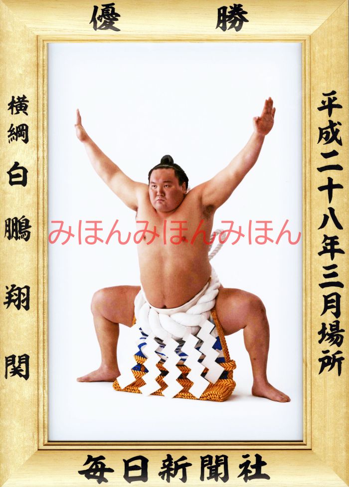 白鵬翔関　優勝ミニ額 大相撲ミニ額 大相撲優勝額　平成２８（２０１６）年３月場所 優勝 横綱 白鵬翔関（３６回目の優勝）優勝記念品 相撲グッズ 力士グッズ 相撲取りグッズ 国技館 限定品 記念品 コレクション 写真 H2803