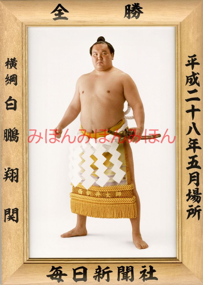 白鵬翔関　優勝ミニ額 大相撲ミニ額 大相撲優勝額　平成２８（２０１６）年５月場所 全勝 横綱 白鵬翔関（３７回目の優勝）優勝記念品 相撲グッズ 力士グッズ 相撲取りグッズ 国技館 限定品 記念品 コレクション 写真 H2805