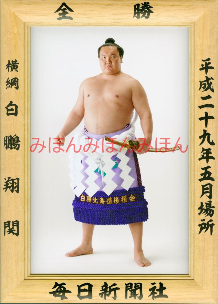 白鵬翔関　優勝ミニ額 大相撲ミニ額 大相撲優勝額　平成２９（２０１７）年５月場所 全勝 横綱 白鵬翔関（３８回目の優勝）優勝記念品 相撲グッズ 力士グッズ 相撲取りグッズ 国技館 限定品 記念品 コレクション 写真 H2905