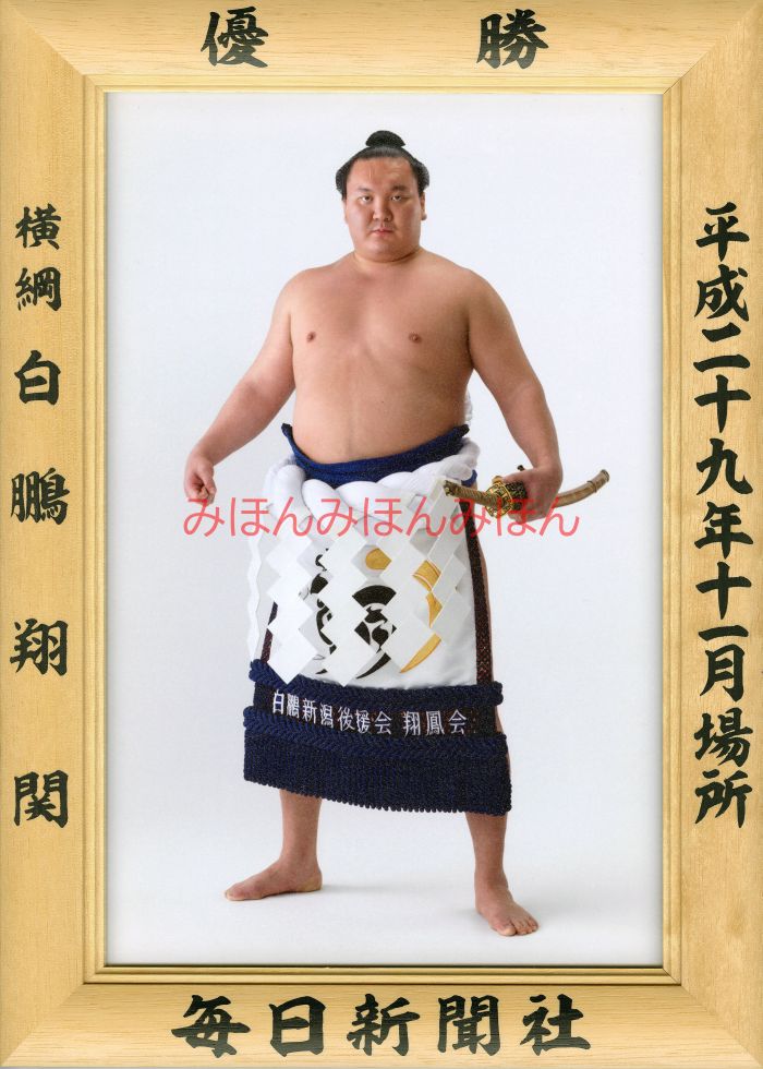 白鵬翔関　優勝ミニ額 大相撲ミニ額 大相撲優勝額　平成２９（２０１７）年１１月場所 優勝 横綱 白鵬翔関（４０回目の優勝）優勝記念品 相撲グッズ 力士グッズ 相撲取りグッズ 国技館 限定品 記念品 コレクション 写真 H2911