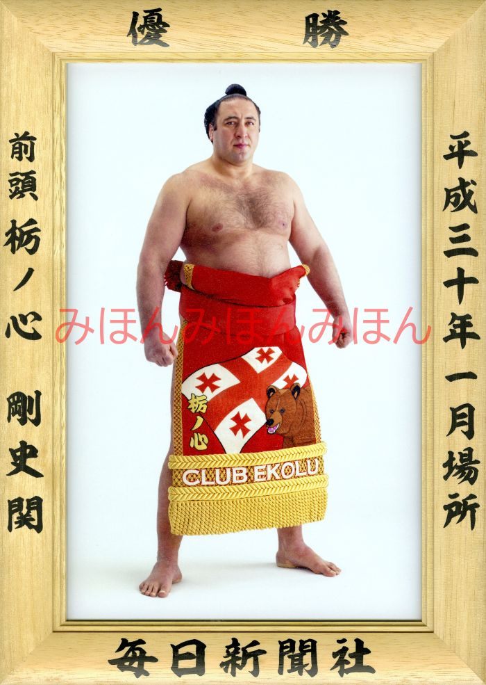 栃ノ心剛史関　優勝ミニ額 大相撲ミニ額 大相撲優勝額　平成３０（２０１８）年１月場所 優勝 前頭 栃ノ心剛史関（初優勝）優勝記念品 相撲グッズ 力士グッズ 相撲取りグッズ 国技館 限定品 記念品 コレクション 写真 H3001