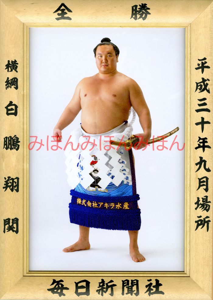白鵬翔関　優勝ミニ額 大相撲ミニ額 大相撲優勝額　平成３０（２０１８）年９月場所 全勝 横綱 白鵬翔関（４１回目の優勝）優勝記念品 相撲グッズ 力士グッズ 相撲取りグッズ 国技館 限定品 記念品 コレクション 写真 H3009