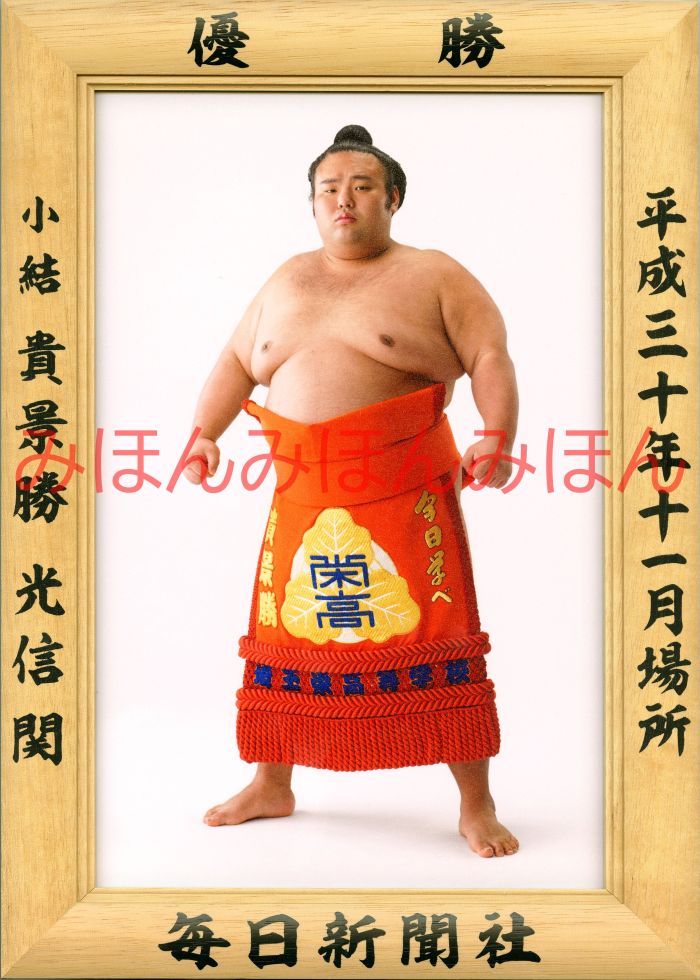 貴景勝光信関　優勝ミニ額 大相撲ミニ額 大相撲優勝額　平成３０（２０１８）年１１月場所 優勝 小結 貴景勝光信関（初優勝）優勝記念品 相撲グッズ 力士グッズ 相撲取りグッズ 国技館 限定品 記念品 コレクション 写真 H3011