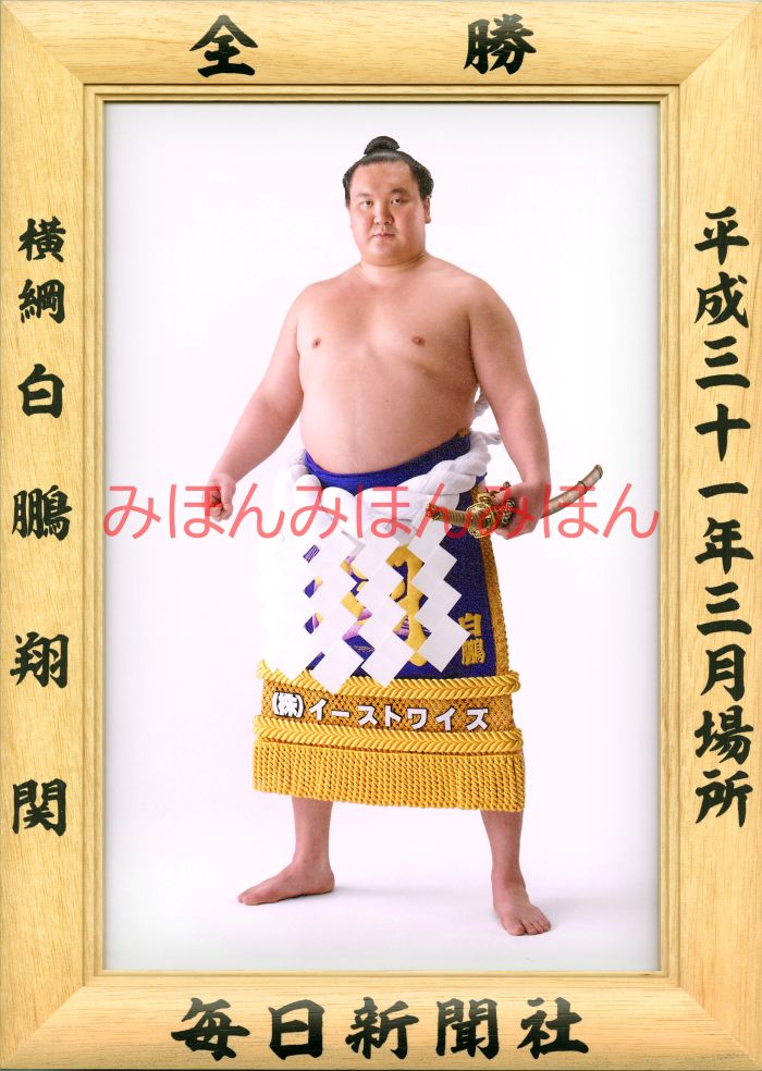 白鵬翔関　優勝ミニ額 大相撲ミニ額 大相撲優勝額　平成３１（２０１９）年３月場所 全勝 横綱 白鵬翔関（４２回目の優勝）優勝記念品 相撲グッズ 力士グッズ 相撲取りグッズ 国技館 限定品 記念品 コレクション 写真 H3103