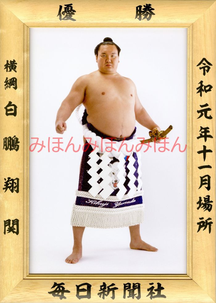 白鵬翔関　優勝ミニ額 大相撲ミニ額 大相撲優勝額　令和元（２０１９）年１１月場所 優勝 横綱 白鵬翔関（４３回目の優勝）優勝記念品 相撲グッズ 力士グッズ 相撲取りグッズ 国技館 限定品 記念品 コレクション 写真 R0111