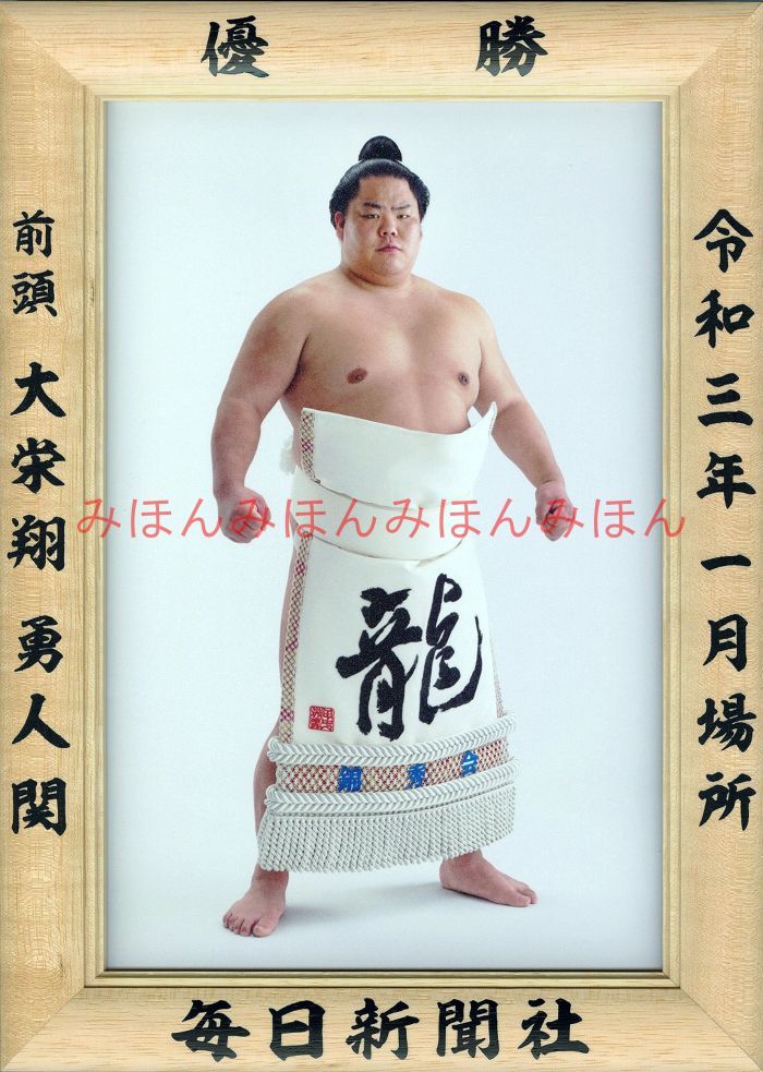 楽天市場】貴乃花光司関 優勝ミニ額 大相撲ミニ額 大相撲優勝額 平成７年７月場所 優勝 横綱 貴乃花光司関（１０回目の優勝）優勝記念品 相撲グッズ 力士グッズ  相撲取りグッズ 国技館 限定品 記念品 コレクション 写真 H0707 : ギフト広場 楽天市場店