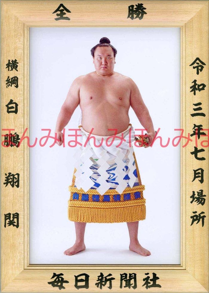 楽天市場】【最大2000円OFFクーポン】豪栄道豪太郎関 優勝ミニ額