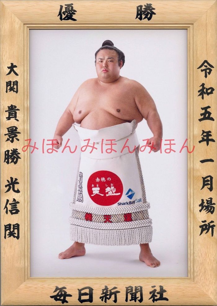 楽天市場】大の里泰輝関 優勝ミニ額 大相撲 ミニ額 大相撲 優勝