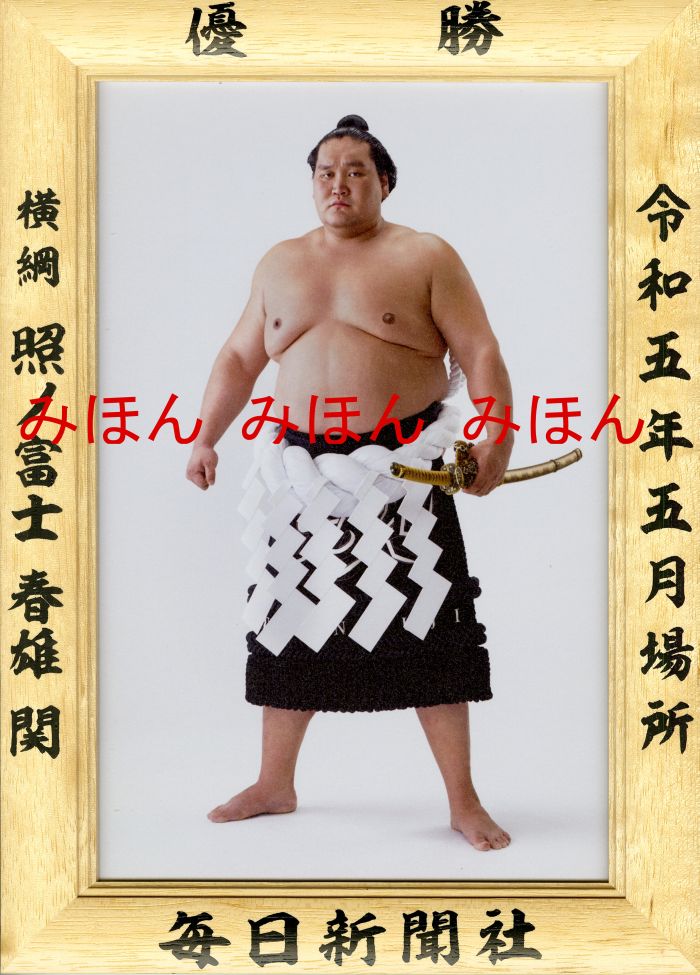 照ノ富士春雄関　優勝ミニ額 大相撲ミニ額 大相撲優勝額　令和５（２０２３）年５月場所 優勝 横綱 照ノ富士春雄関（８回目）優勝記念品 相撲グッズ 力士グッズ 相撲取りグッズ 国技館 限定品 記念品 コレクション 写真 R0505