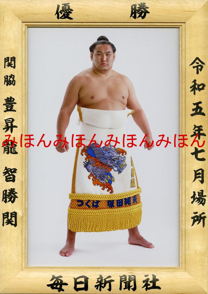 豊昇龍智勝関　優勝ミニ額 大相撲ミニ額 大相撲優勝額　令和５（２０２３）年７月場所 優勝 関脇 豊昇龍 智勝関（初優勝）優勝記念品 相撲グッズ 力士グッズ 相撲取りグッズ 国技館 限定品 記念品 コレクション 写真 R0507