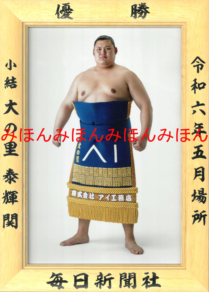 楽天市場】旭富士正也関 優勝ミニ額 大相撲ミニ額 大相撲優勝額 平成３年５月場所 優勝 横綱 旭富士正也関（４回目の優勝）優勝記念品 相撲グッズ  力士グッズ 相撲取りグッズ 国技館 限定品 記念品 コレクション 写真 H0305 : ギフト広場 楽天市場店