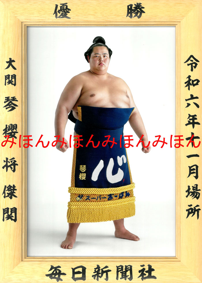 琴櫻将傑関　優勝ミニ額 大相撲 ミニ額 大相撲 優勝額　令和６（２０２４）年１１月場所 優勝 大関 琴櫻 関（初優勝）優勝記念品 相撲グッズ 力士グッズ 相撲取りグッズ 国技館 限定品 記念品 コレクション 写真 R0611