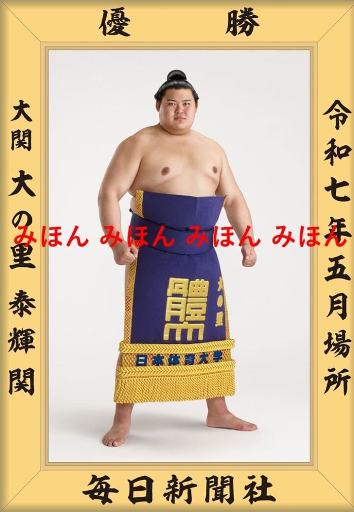 【レア物】大相撲グッズ【未使用品】 2025年最新】Yahoo!オークション -相撲(事務、店舗用品)の中古品