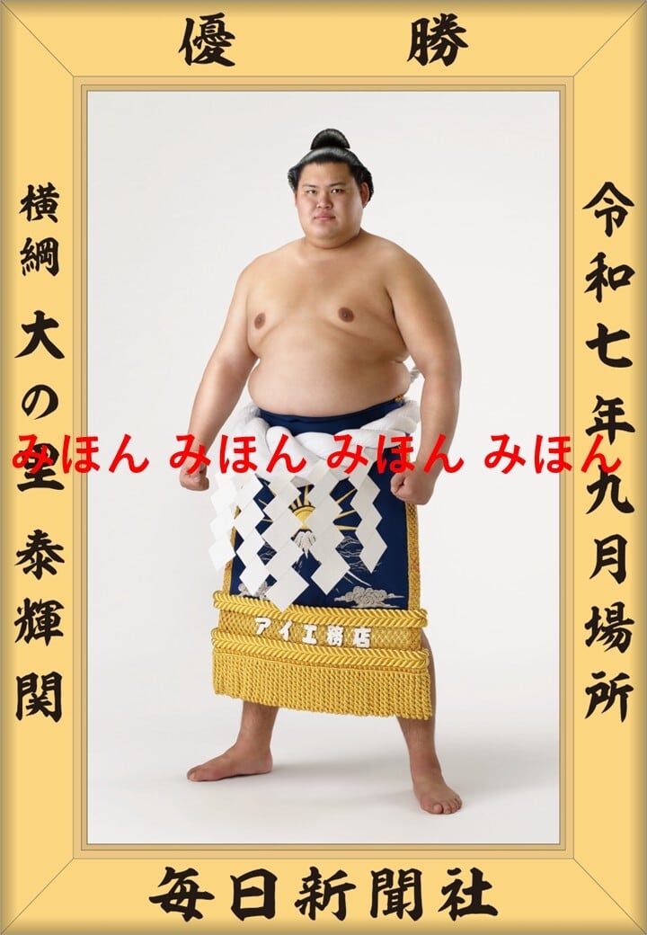 楽天市場】最大2000円クーポン◇大関昇進が決定！ 安青錦 新大 関 優勝