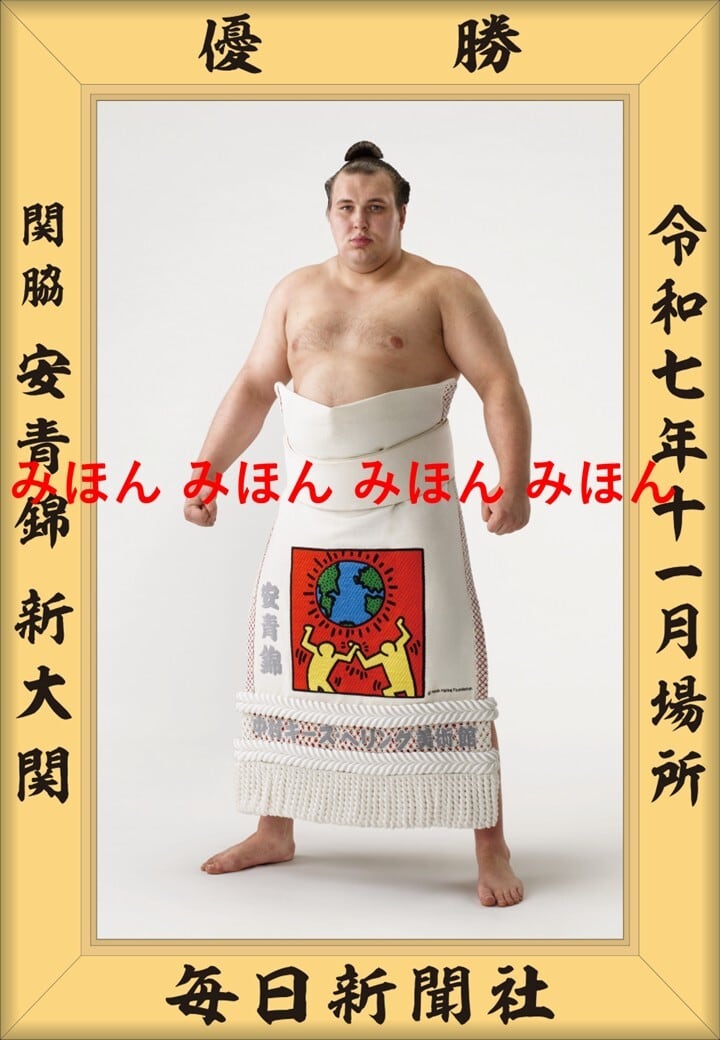 大関昇進が決定！　安青錦 新大 関　優勝ミニ額 大相撲ミニ額 大相撲優勝額　令和７（２０２５）年１１月場所 優勝 関脇 安青錦 関（初優勝）優勝記念品 相撲グッズ 力士グッズ 相撲取りグッズ 国技館 限定品 記念品 コレクション 写真 R0711