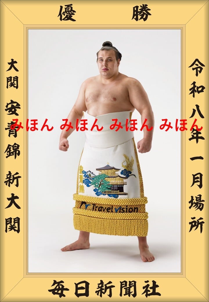 安青錦 新大 関 優勝ミニ額 大相撲ミニ額 大相撲優勝額 令和8(2026)年1月場所 優勝 大関 安青錦 関(2回目)優勝記念品 相撲グッズ 力士グッズ 相撲取りグッズ 国技館 限定品 記念品 コレクション 写真 R0801|ギフト広場 店