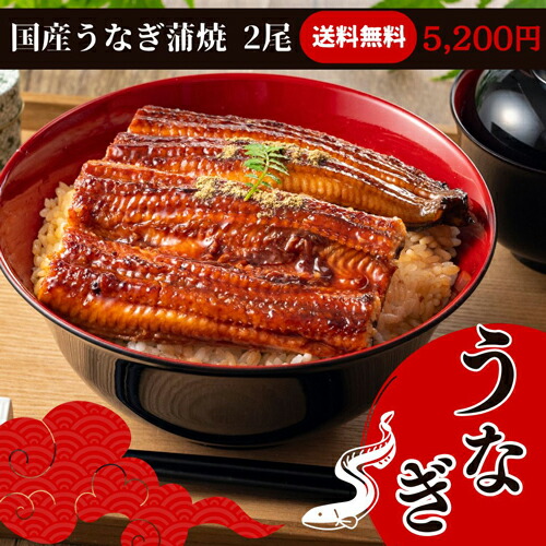 大森淡水 国産うなぎ蒲焼 長焼 ２尾 お中元 送料無料 お得 御礼 ギフトお土産 お供え 内祝 ご挨拶 ギフトセット 快気祝 お返し 夏ギフト 手土産 プレゼント お返し お中元