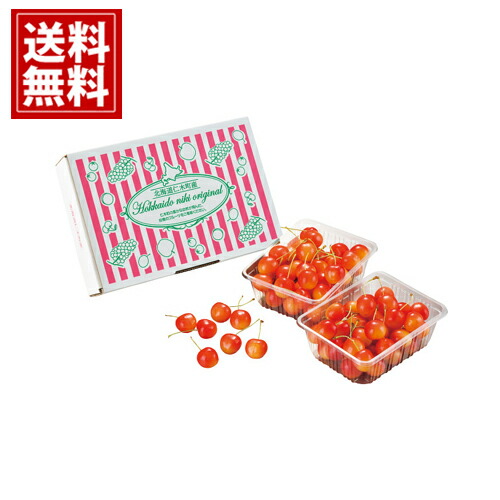 北海道仁木産さくらんぼ（３００ｇ×２） 送料無料 お得 御礼 ギフトお土産 お供え 内祝 ご挨拶 ギフトセット 快気祝 お返し 手土産 プレゼント お返し お中元