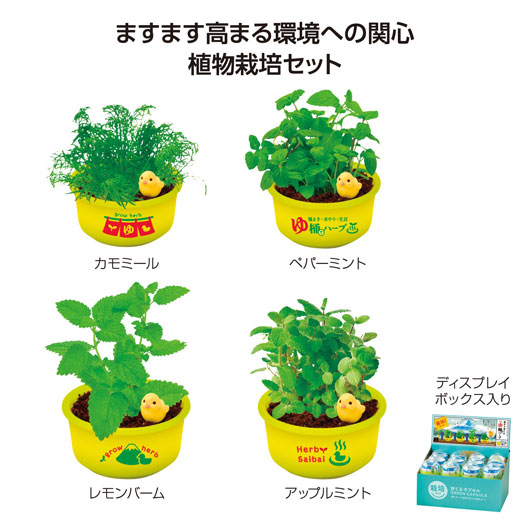 【クーポン有り】 販促品 観葉植物 育てるカプセル　ゆ桶でハーブ栽培 観葉植物 販促品 観葉植物 600円 人気 500円台 敬老会 プレゼント イベント セール sale
