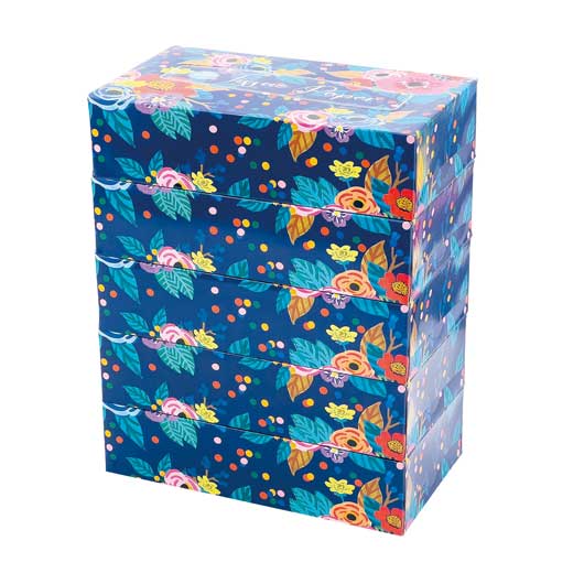 【SALE～11日1:59】 販促品 ちり紙 【24個ユニット】エコ御花ＢＯＸティッシュ１５０Ｗ５個組 ちり紙 濾過性病原体打つ手 止めることグッズ せっ生装置 販促品 ちり紙 500円 一般受け 400円台 敬老会 プレゼ