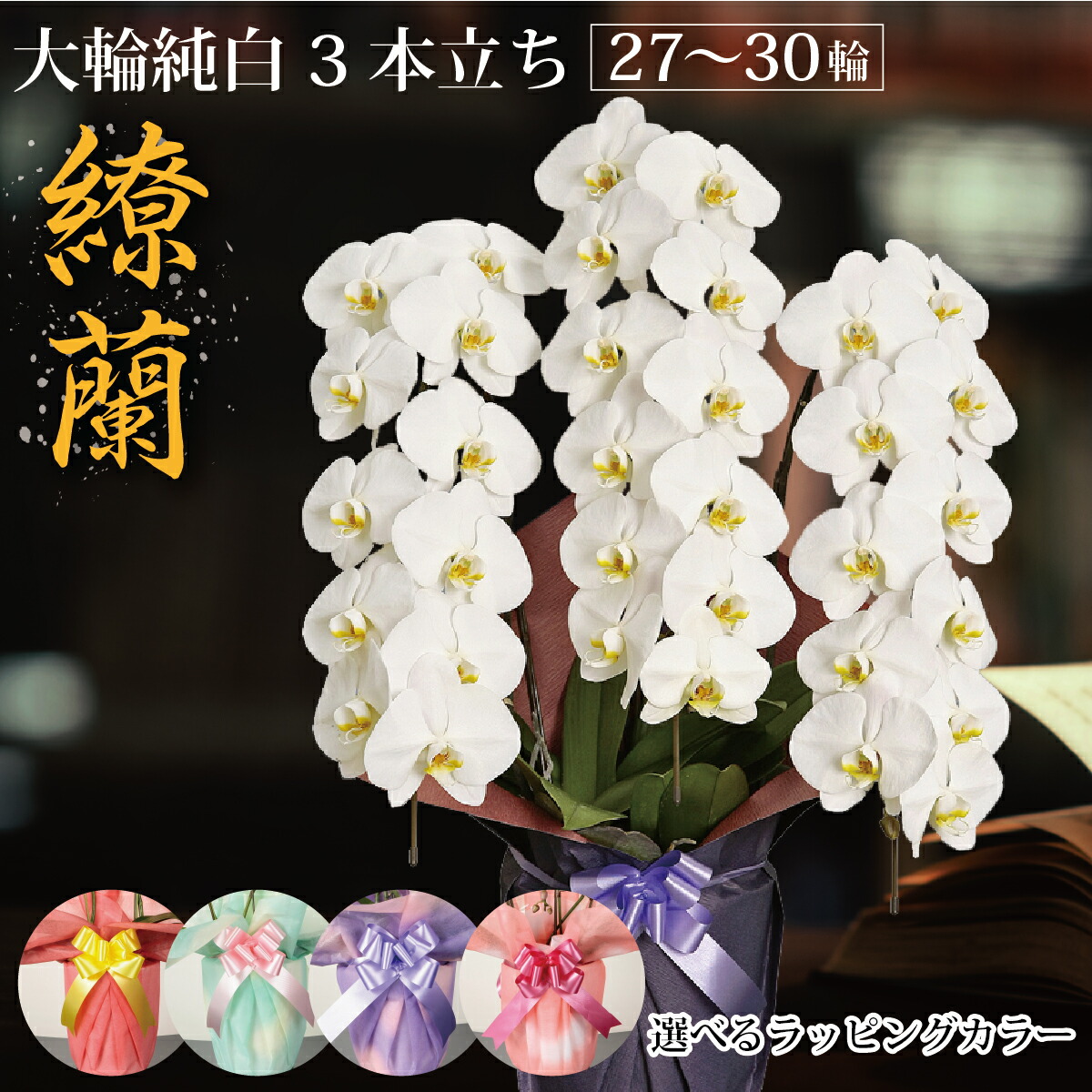 関西 高品質で豪華な3本立ちの胡蝶蘭をお求めやすいお手頃価格にてご提供 綺麗な花並びで見栄えする大輪白胡蝶蘭3本立ち 繚蘭 がお客様に 幸福 と 繁栄 をもたらします 繚蘭 aクラス 一部地域 白 鉢花 27輪 30輪前後 000円 以下 クーポン 関西 高品質で豪華な3本立ちの胡蝶蘭をお求めやすいお手頃価格にてご提供 綺麗な花並びで見栄えする大輪白胡蝶蘭3本立ち 繚蘭 がお客様に 幸福 と 繁栄 をもたらします 繚蘭 aクラス 一部地域 白 鉢花 27輪 30輪前後 000円 以下 クーポン