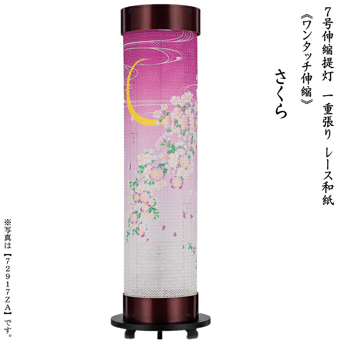 桜　７号　伸縮提灯　刷り絵＜さくら＞レース和紙　一重(72917ZA)｜ギフトギャラリー石橋