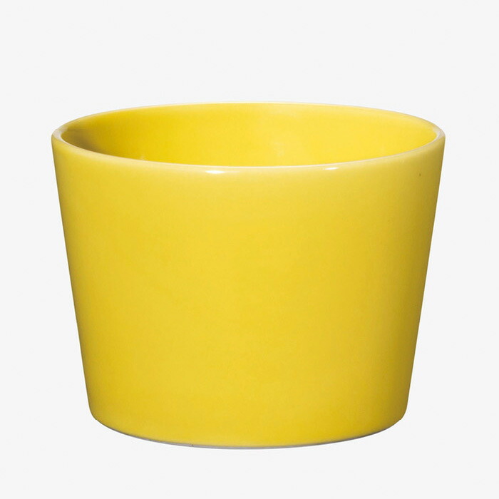 【選べる個数（1～10個）】 Common カップ　70mm(120ml) Yellow（26005） Japanese Style【送料込み価格】