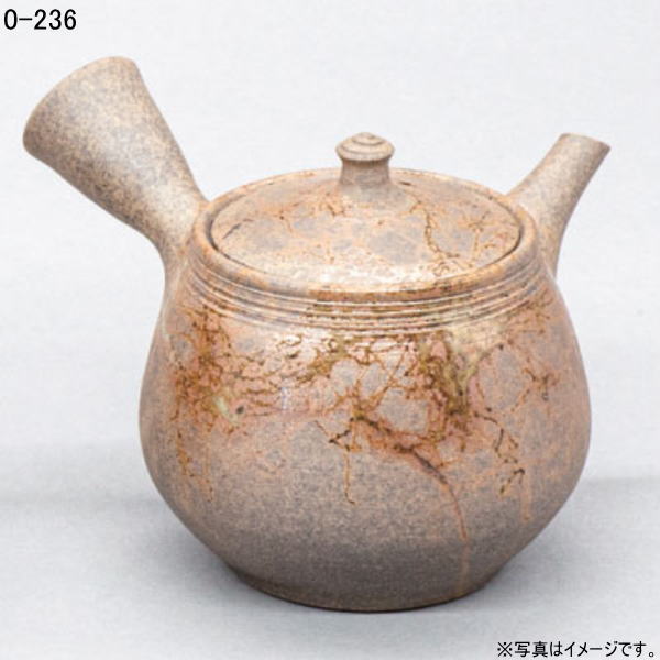 常滑焼仁(じん) 14号 炭化富士藻がけ急須250ml 陶茶こし(木箱紐付)(常滑0-236)