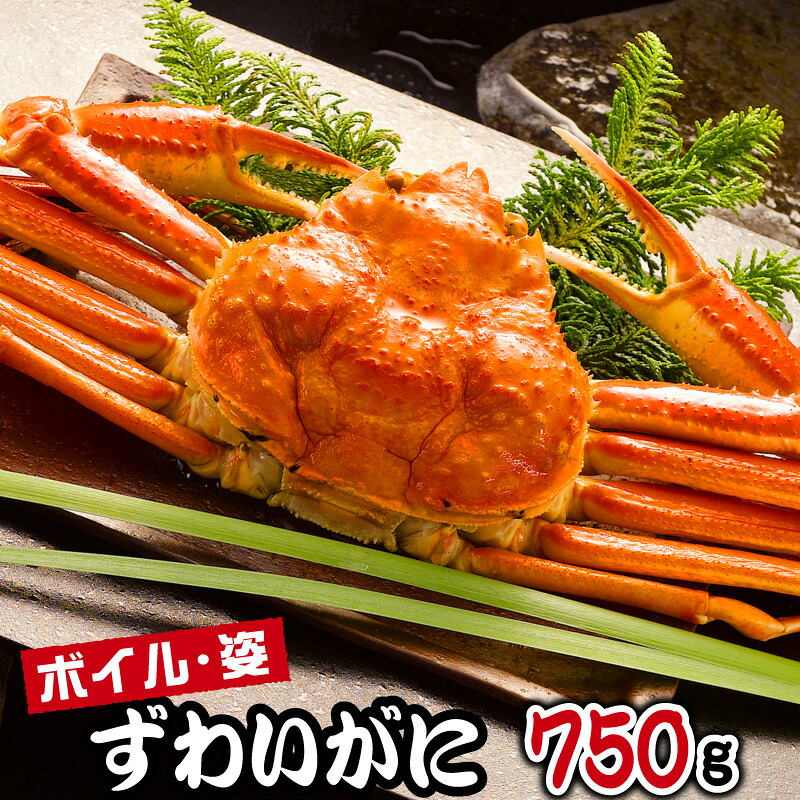 かに 蟹 ギフト ズワイガニ ボイル 姿 750g 1尾 海鮮 ずわい蟹 蟹みそ カニ味噌 かに鍋 しゃぶしゃぶ カニしゃぶ お中元ギフト 御中元 ギフト お中元 人気 誕生日プレゼント 食べ物 80代 70代 60代 50代 父 母 男性 女性 内祝い 食品 出産 結婚 お返し 祖父 祖母｜グルメギフト本舗 店