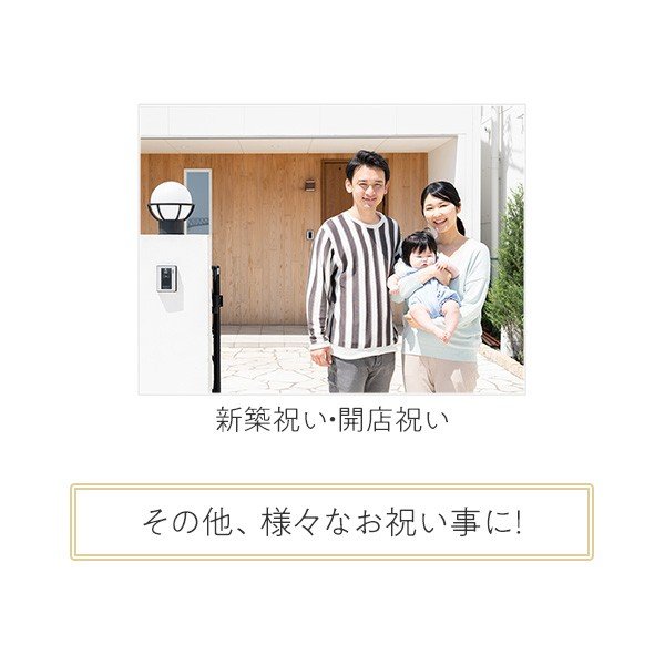 プレゼント父の日ギフト送料無料お取り寄せ国産うなぎ割烹「一愼」おこわ風うなぎ飯おこわ風うなぎめし10個お誕生日祝い出産内祝い出産祝い結婚内祝い結婚祝い人気高級贈答用贈り物贈答品食べ物内祝いプレゼント還暦長寿傘寿喜寿古希返礼品