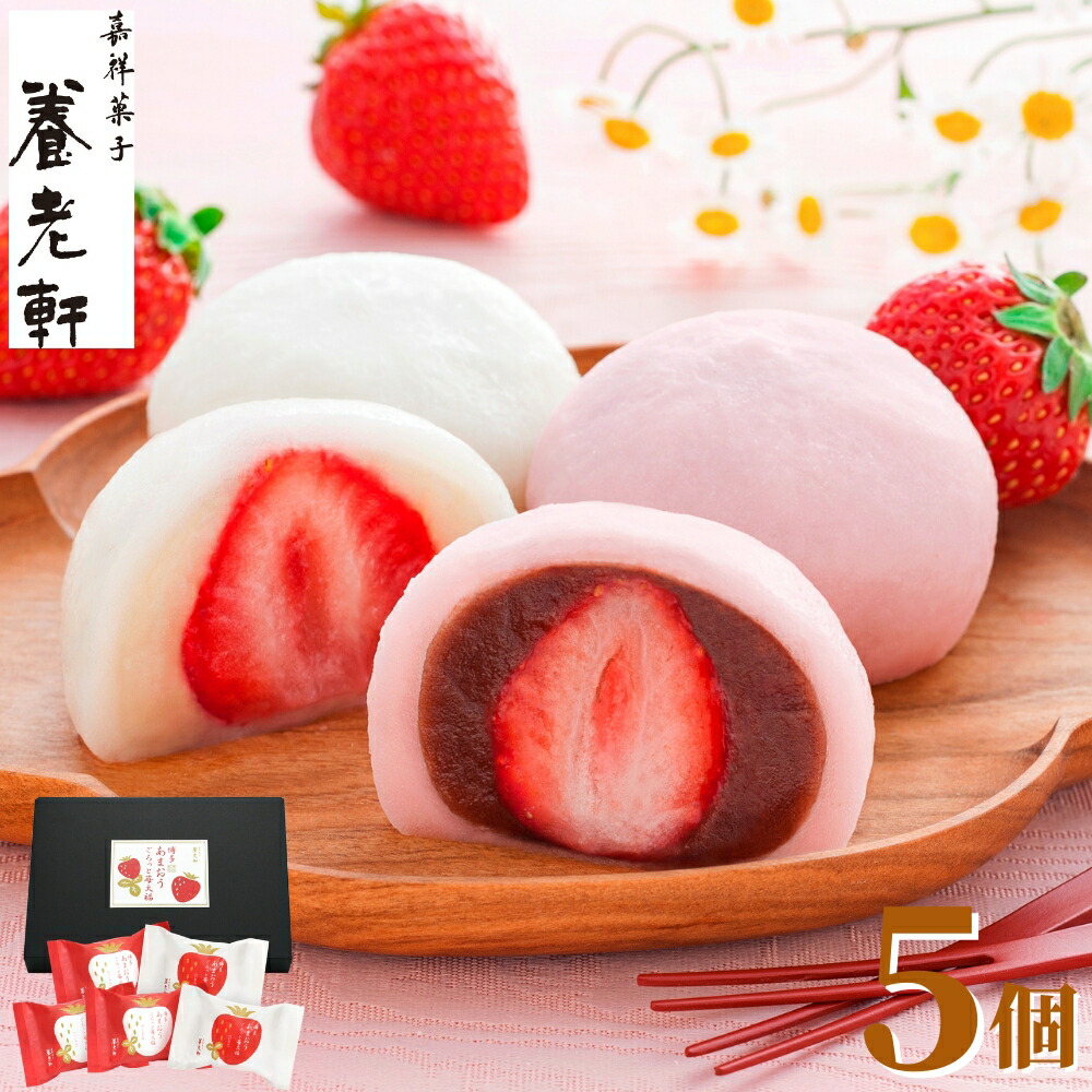いちご大福様　やわらか枯露柿　至高の大蜂屋　2kg 楽天市場】お中元 2025 夏ギフト 京都 「 養老軒 」 博多