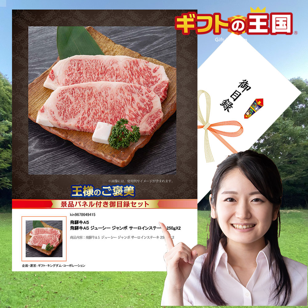 飛騨牛A５ 国産牛詰合せ ジューシー ジャンボ サーロインステーキ 250ｇX2 目録 景品 二次会 婚礼 忘年会 ビンゴ コンペ｜ベビー＆ご挨拶お祝いギフトランド 12,870円