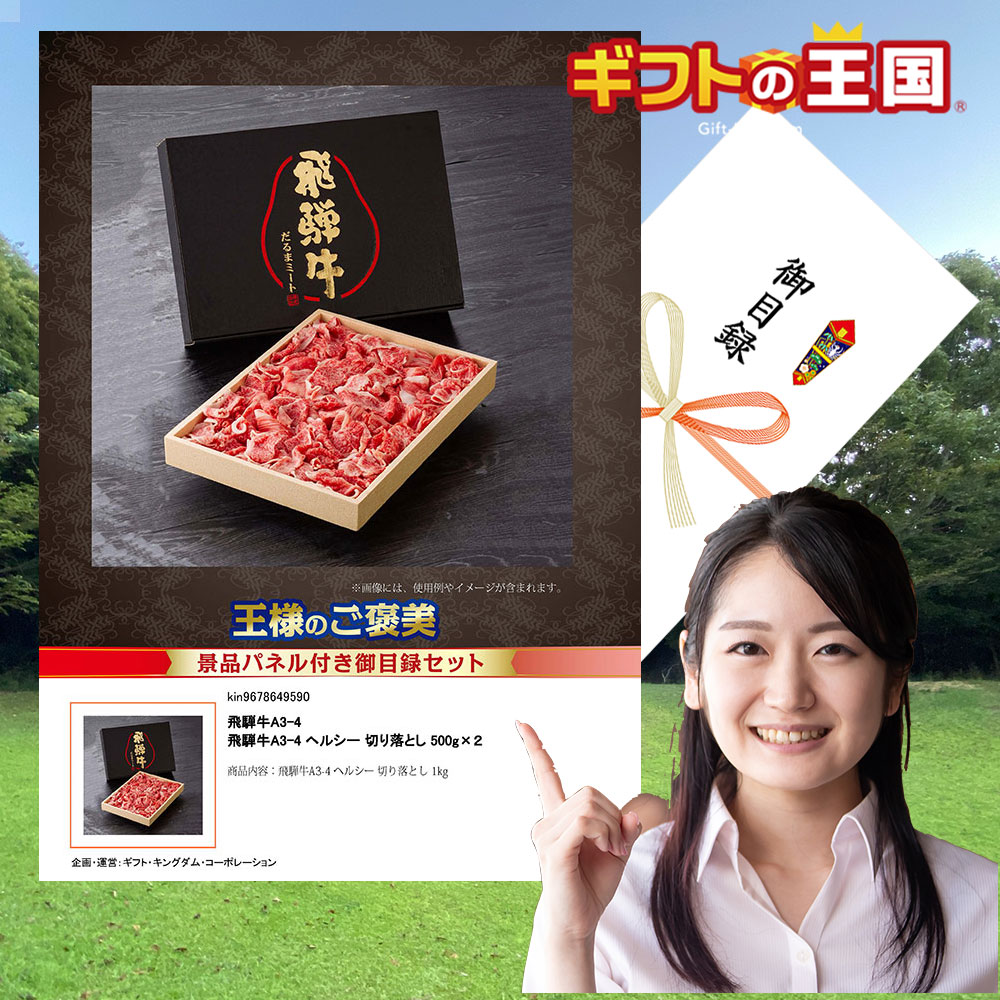 飛騨牛A3-4 国産牛詰合せ ヘルシー 切り落とし 500g×2 目録 景品 二次会 婚礼 忘年会 ビンゴ コンペ|ベビー&ご挨拶お祝いギフトランド