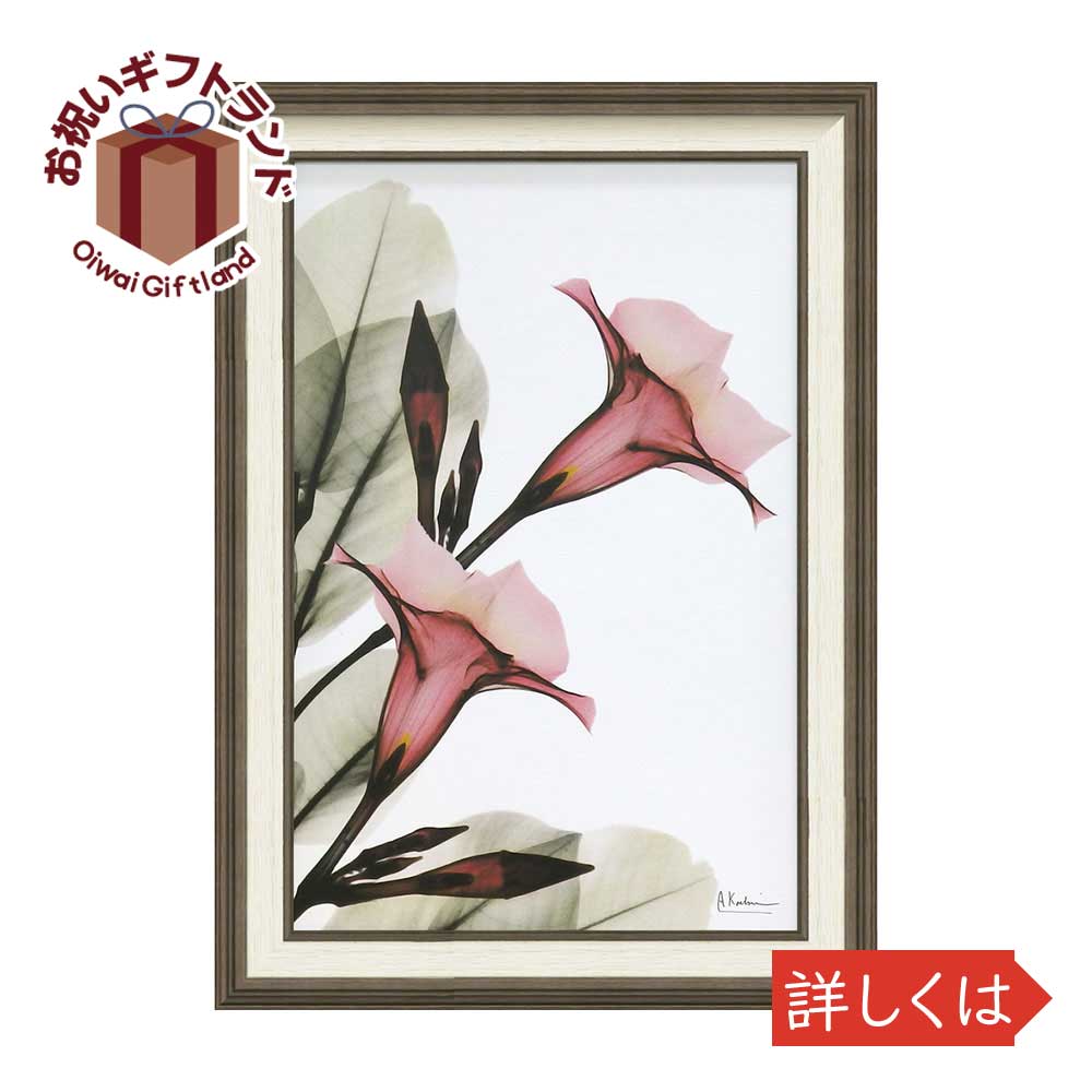 楽天市場 X Ray キャンバスアート トランペット フラワー Mサイズ 壁掛用 Xr 102 壁掛け飾り 絵画 おしゃれ かわいい Xr 102 景品 名入れのお祝いギフトランド