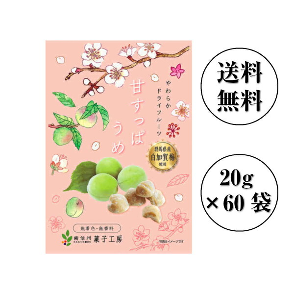南信州菓子工房 国産・甘すっぱうめ 20g×60袋【送料無料】和歌山県梅使用 ドライフルーツ 包装不可