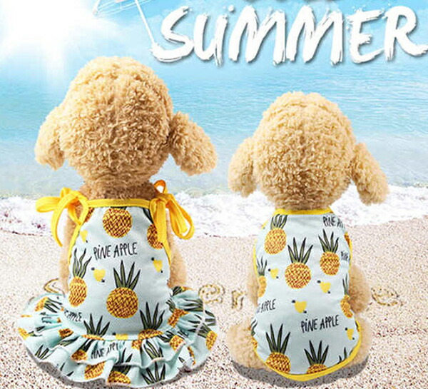 新登場 犬 服 コスチューム 夏 バナナ パイナップル Xs S M ペット グッズ かわいいおしゃれ ペット用品 コスチューム Tシャツ ワンピース 夏 映える フォトジェニック メール便送料無料 Korkmazmauritius Com