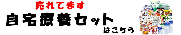 楽天市場】営業日即日出荷 自宅療養セット 【沖縄への配送不可】【営業