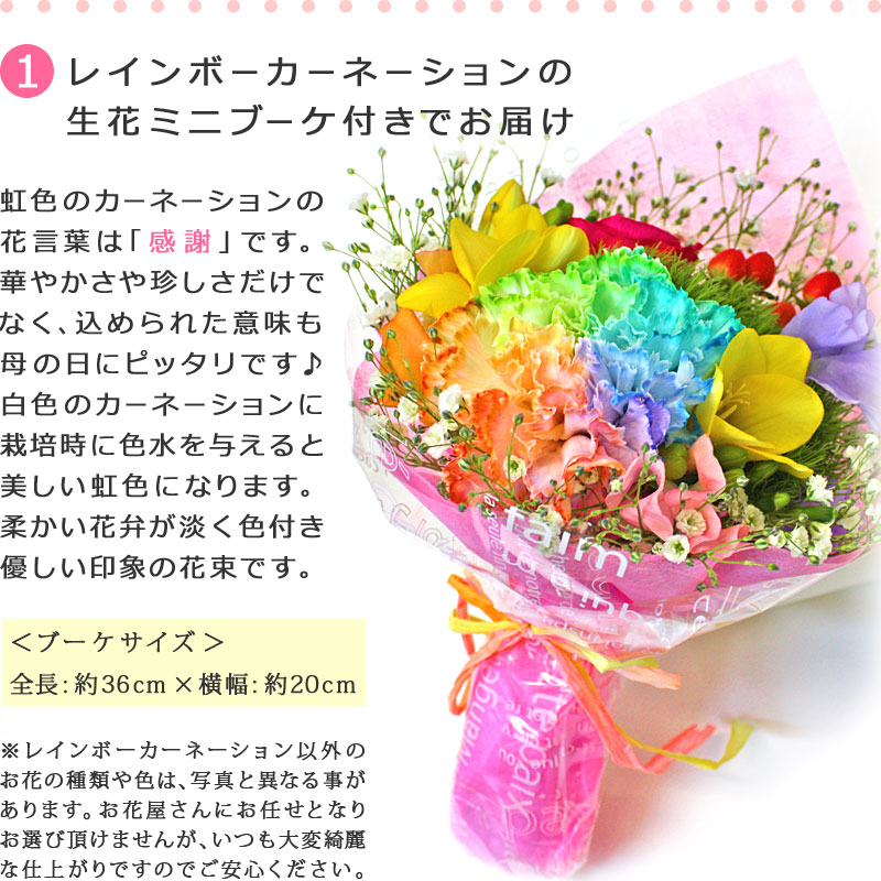 Seal限定商品 ギフトパーク 21年 母の日 ギフト レインボーカーネーションの生花付き果物詰め合わせ M 国産メロン入り 母の日限定デザインメッセージカード 名入れのし付きフルーツギフト 花つき カーネーション付き 果物 詰め合わせ 好評 Tradrecipe Com