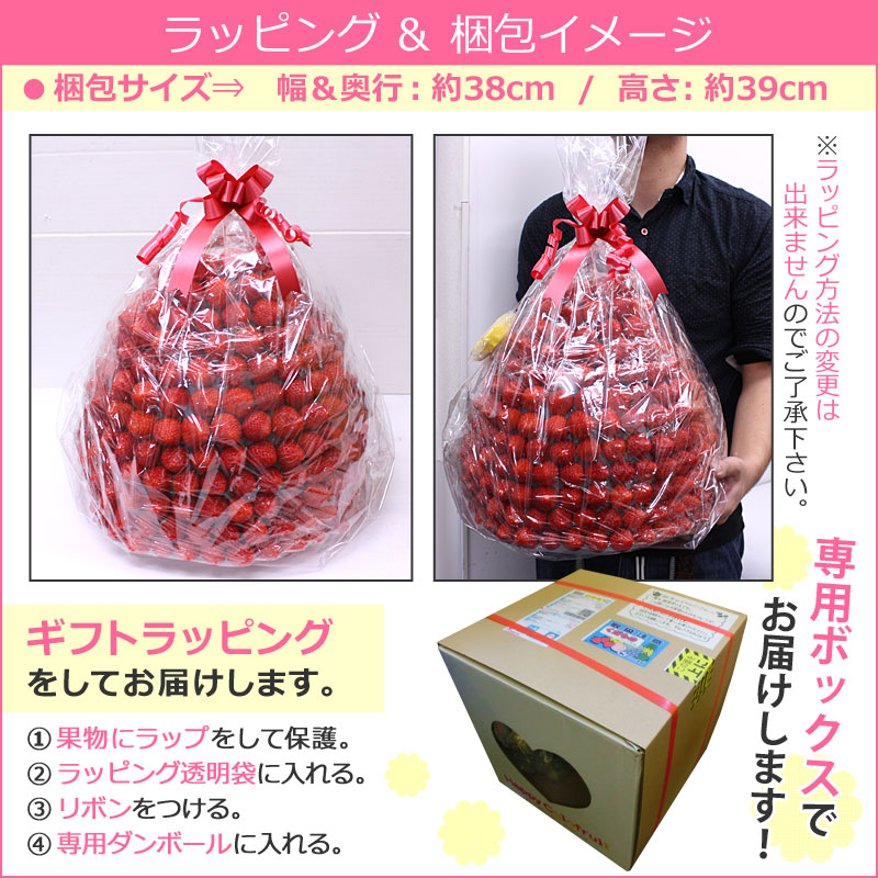 50 Off ギフトパーク 果物 イチゴ 苺 詰め合わせ いちごマウンテン フルーツフラワーギフト カットフルーツ盛り合わせ サプライズプレゼント 結婚記念日 結婚内祝い 誕生日 母の日 面白い 贈り物 スイーツ インスタ映え フルーツケーキ タワーケーキ 最安値に挑戦