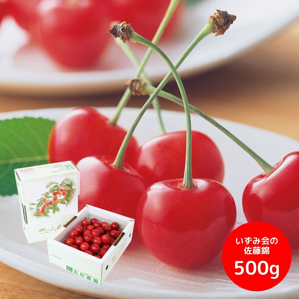 いずみ会の 秀品佐藤錦 500g (6月13日より順次出荷予定) (承り期間：6月18日まで) 果物 フルーツ さくらんぼ 佐藤錦 秀品 山形 内祝 お返し 出産内祝い 結婚内祝い 快気祝い 贈答 お中元 御中元 夏ギフト 暑中見舞い 残暑見舞い 2025