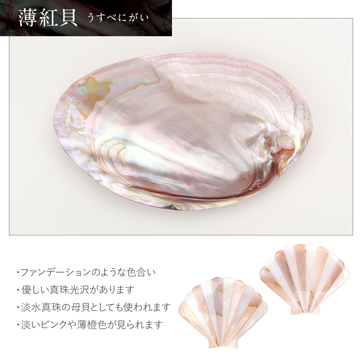 楽天市場 箸置き ペア箸置き 二枚貝 セット 天然貝 桐箱入り おしゃれ かわいい 手作り シェル 結婚祝い 贈り物 ペア ギフト プレゼント ラッピング 貝殻 かいがら 白 黒 薄紅 ピンクシェル ギフトショップ 和結び