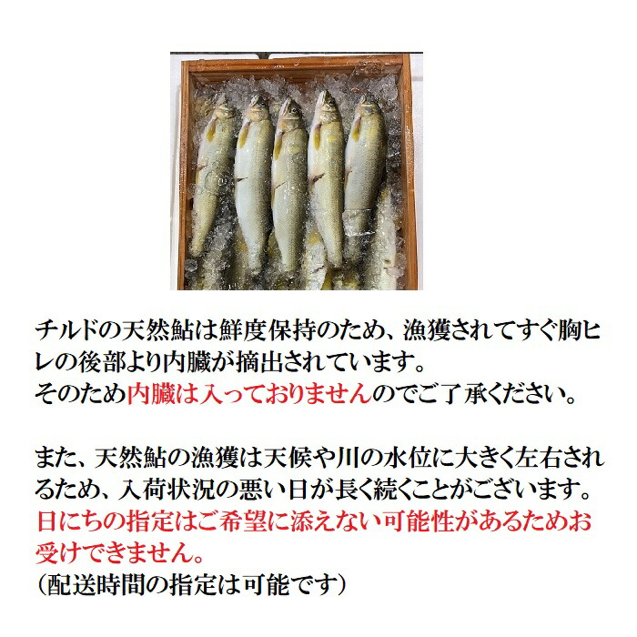 市場 新物 釣り 送料無料 約１kg 天然鮎 アユ 岐阜県産 15 尾天然 鮎