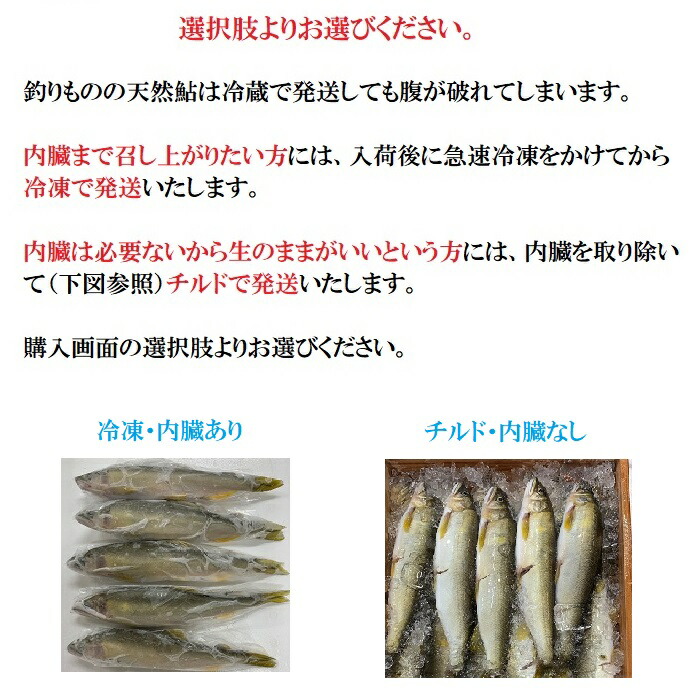 市場 新物 釣り 送料無料 約１kg 天然鮎 アユ 岐阜県産 15 尾天然 鮎