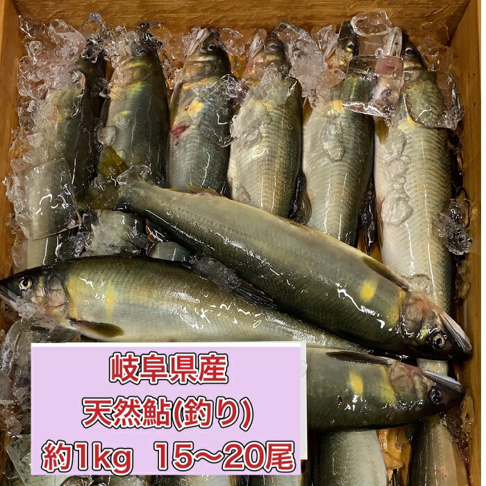 【冷凍のみ】岐阜県産　天然鮎（釣り）　約１kg　15～20尾<br><br>天然　鮎　アユ　岐阜　あゆ　高級　釣り　釣　郡上  極上　一級品 長良川