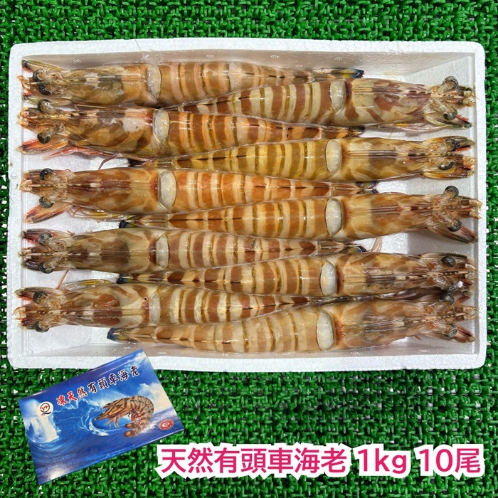 超特大　有頭天然車海老　1ｋｇ　10尾｜丸美水産　店
