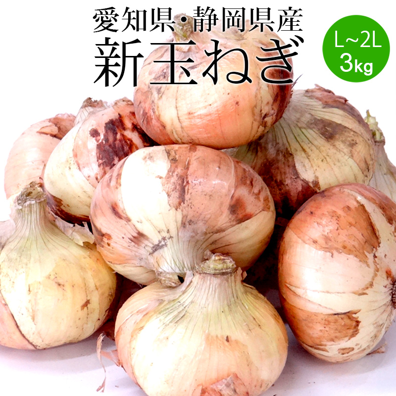 楽天市場 新玉ねぎ 2lx3kg 愛知県 静岡県産 送料無料 使いやすい量 国産 たまねぎ 野菜便 常温便 季節の野菜 フルーツ ぎふーる