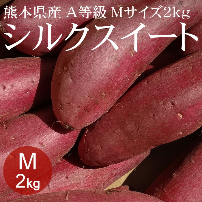 【楽天市場】熊本県産シルクスイート M×5kg(約24本) A等級 [生いも