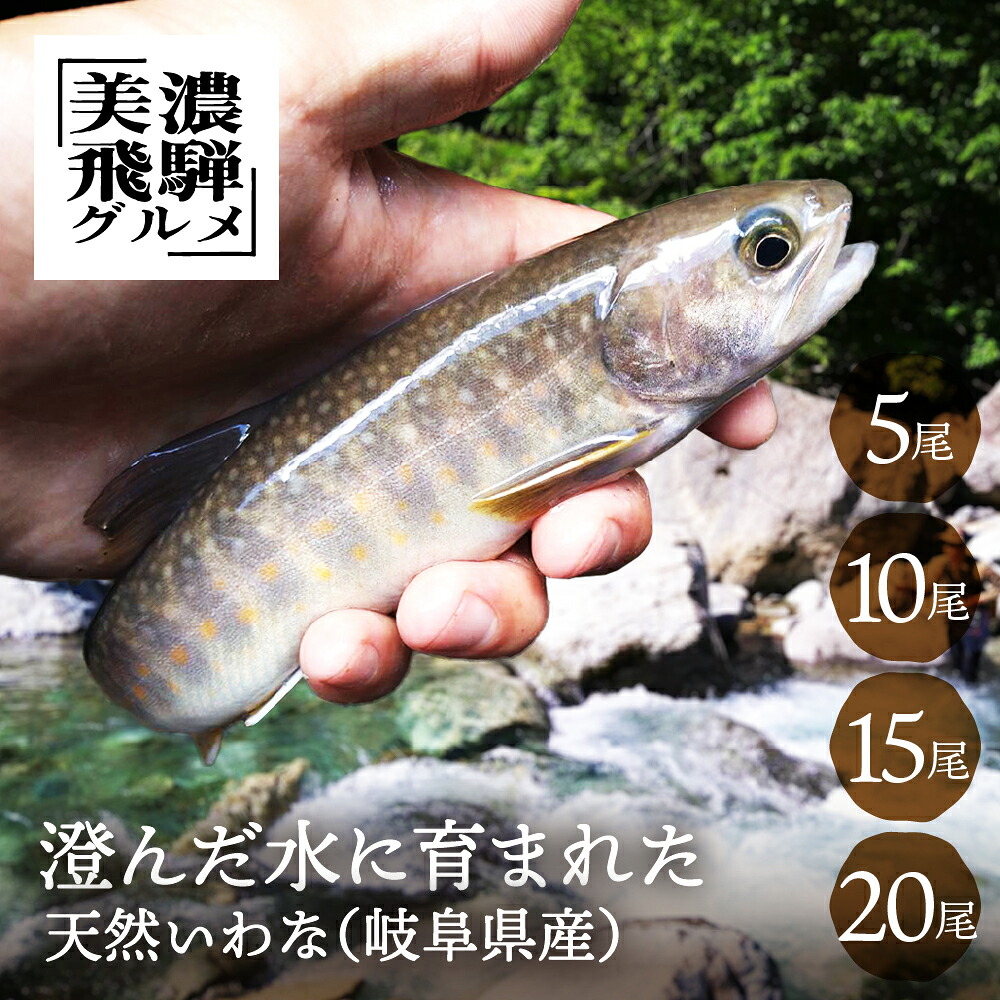 【楽天市場】【尾数が選べる】 天然いわな 産 冷凍 5尾 10尾 15尾 20尾 処理済 天然 いわな 岩魚 イワナ 魚 川魚 塩焼き BBQ バーベキュー キャンプ 世界遺産 世界農業遺産 美濃飛騨グルメ ギフト 夏ギフト:産地直送!ぎふまる楽天市場店